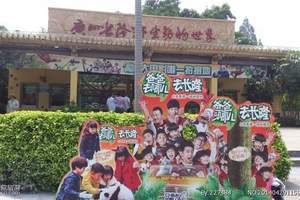 长隆夜间动物世界